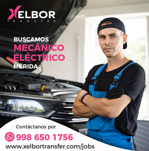 Mecánico Eléctrico