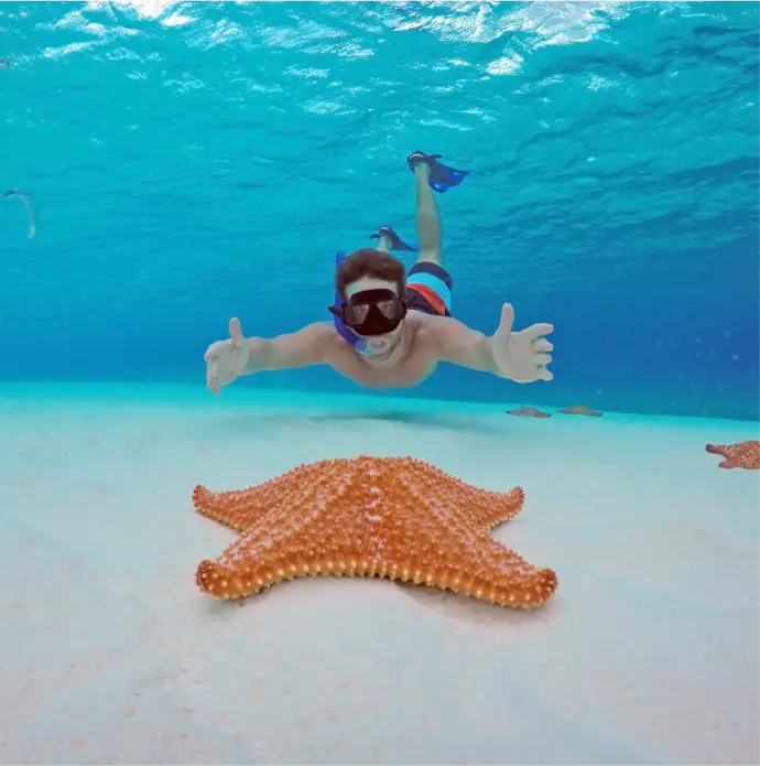 COZUMEL ISLAND & EL CIELO $150 USD