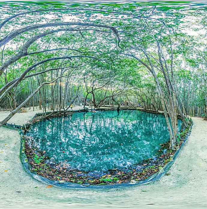 5 LUGARES A VISITAR: DZIBILCHALTÚN, CHARCAS DE SAL, CORCHITO, FLAMENCOS Y PUERTO PROGRESO $2.800 MXN