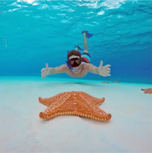 COZUMEL ISLAND & EL CIELO $150 USD