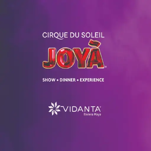 CIRQUE DU SOLEIL CENA SHOW & CHAMPAGNE $286 USD
