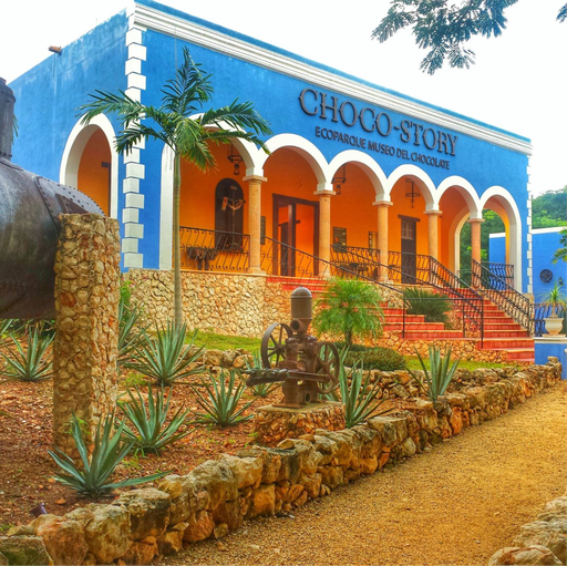 UXMAL,  MUSEO DE CHOCOLATE  Y CENOTE $1,400 MXN